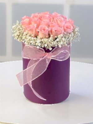 Mor Kutuda Cipso ve Pembe G�l